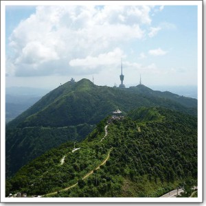 梧桐山活动