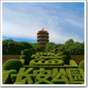 长安公园春游